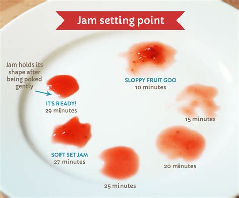 test jam for thickness|testing jam setting point.